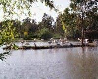 El paraíso de las aves