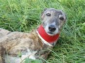 Playa, playa.....aquí playa