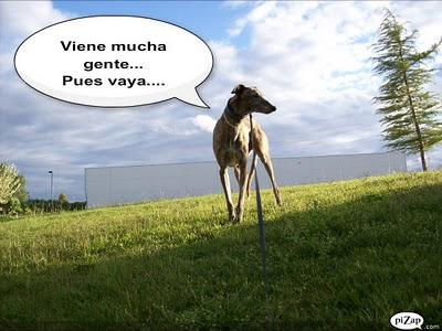 Un rato con Tato, ¿me acompañas?