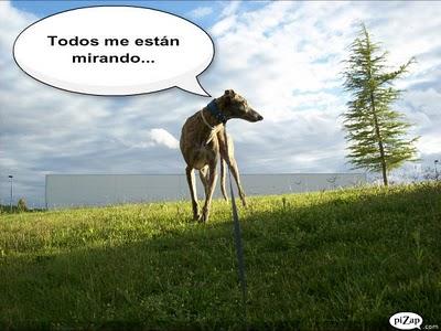 Un rato con Tato, ¿me acompañas?