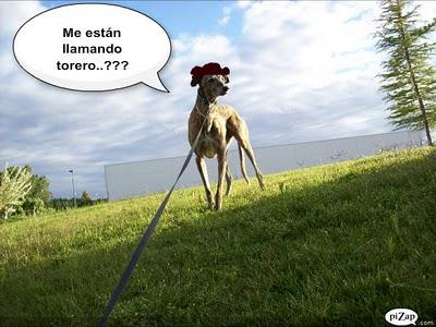 Un rato con Tato, ¿me acompañas?