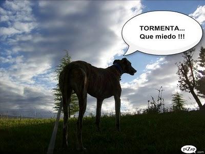 Un rato con Tato, ¿me acompañas?