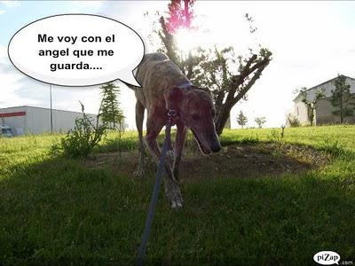 Un rato con Tato, ¿me acompañas?