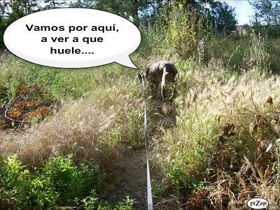 Un rato con Tato, ¿me acompañas?