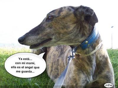 Un rato con Tato, ¿me acompañas?