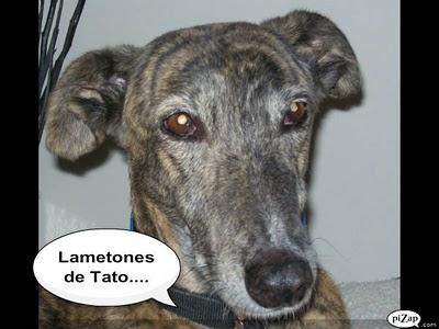 Un rato con Tato, ¿me acompañas?