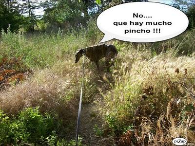 Un rato con Tato, ¿me acompañas?