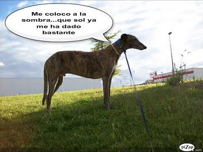 Un rato con Tato, ¿me acompañas?