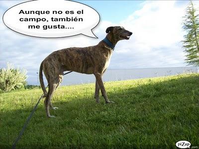 Un rato con Tato, ¿me acompañas?