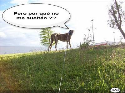 Un rato con Tato, ¿me acompañas?