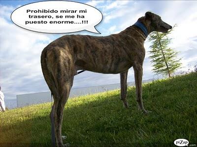 Un rato con Tato, ¿me acompañas?