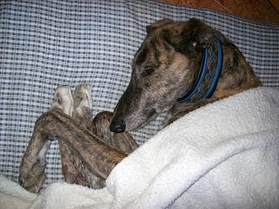 Un día en casa de Tato....