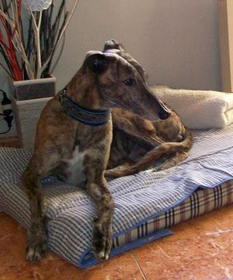 Un día en casa de Tato....