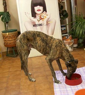 Un día en casa de Tato....