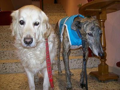 Un día en casa de Tato....