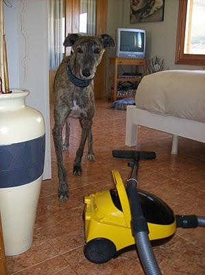 Un día en casa de Tato....