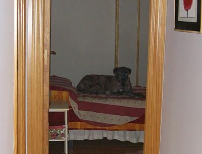 Un día en casa de Tato....