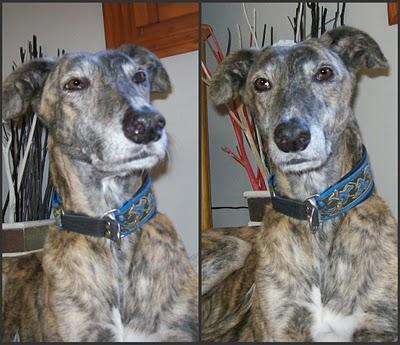 Un día en casa de Tato....