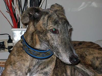 Un día en casa de Tato....