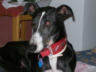 Me siento bien, aunque derrotado....