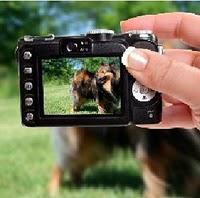 eSTATE QUIETO QUE TE FOTOGRAFÍO