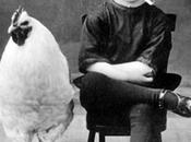 niño polla, viceversa (II)