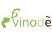 Datos frescos enoturismo