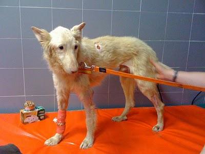 Angel...se ha ido un gran luchador.