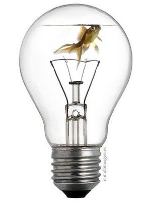 QUE NO INVENTEN ELLOS