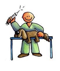 DE VETERINARIO A VEXILÓLOGO