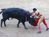 muerte toro