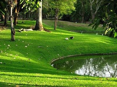 El paisaje de Caracas. Marienela Genatios, presidenta Sociedad Venezolana de Paisajistas.