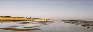 Firma para salvar la playa virgen de El Palmar (CADIZ)