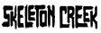 Skeleton Creek: El diario de Ryan ~ Patrick Carman