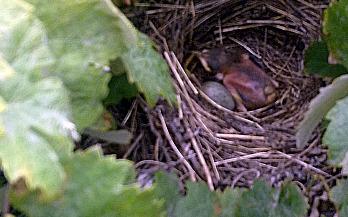 SUS ÚLTIMAS FOTOS...