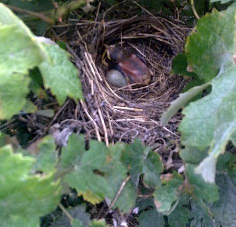 SUS ÚLTIMAS FOTOS...