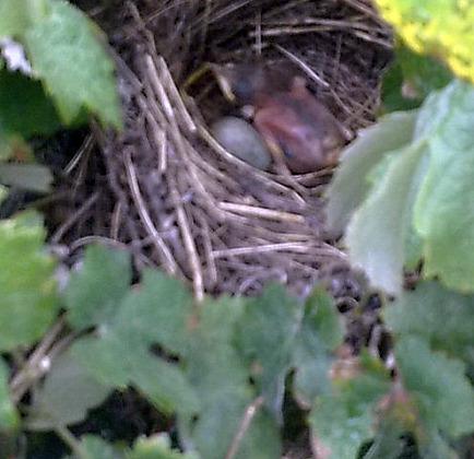 SUS ÚLTIMAS FOTOS...