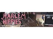 HARLEM HIPPIES Divertido Recomendado