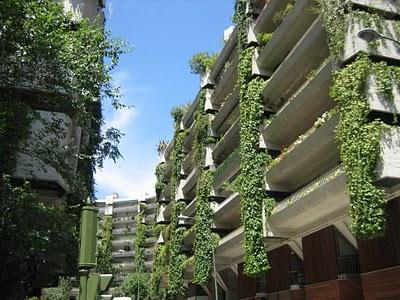 Proponen crear jardines en las terrazas. Tucumán.