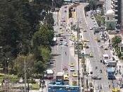 árboles patrimoniales Quito.Diario Comercio