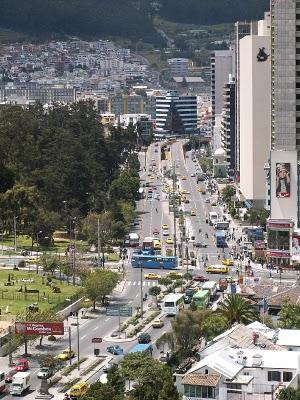 300 árboles patrimoniales en Quito.Diario El Comercio