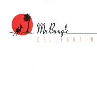 Mr. Bungle