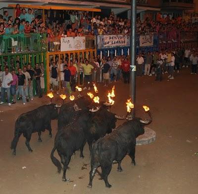 Prohibición de los toros en Cataluña. un porqué a la crítica