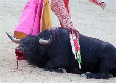 Prohibición de los toros en Cataluña. un porqué a la crítica