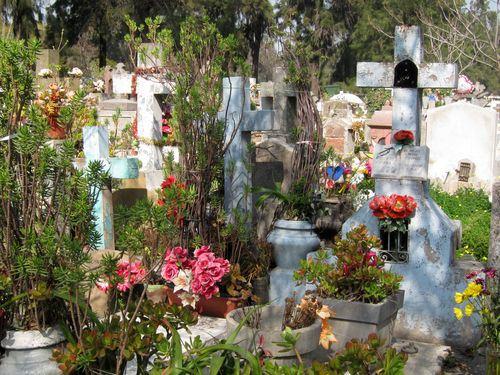 Mochileando por Chile. Día 5: Cementerio general y barrio Brasil.