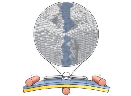 Actualidad Informática. Interruptor atómico basado en el control de la posición de un solo átomo. Rafael Barzanallana. UMU