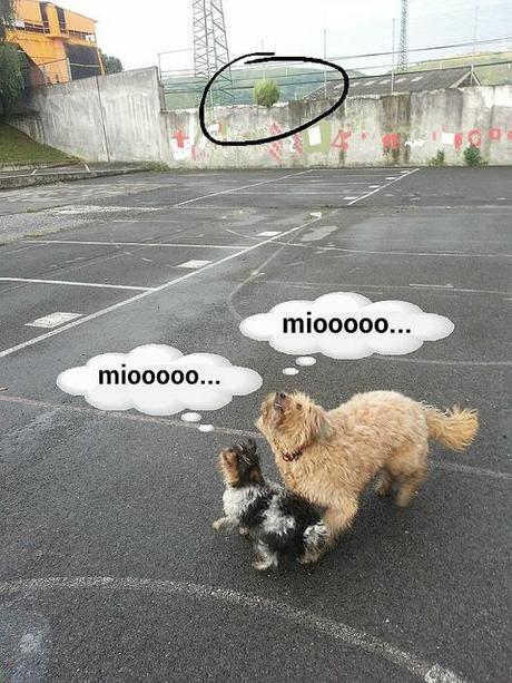 estamos tan agustito