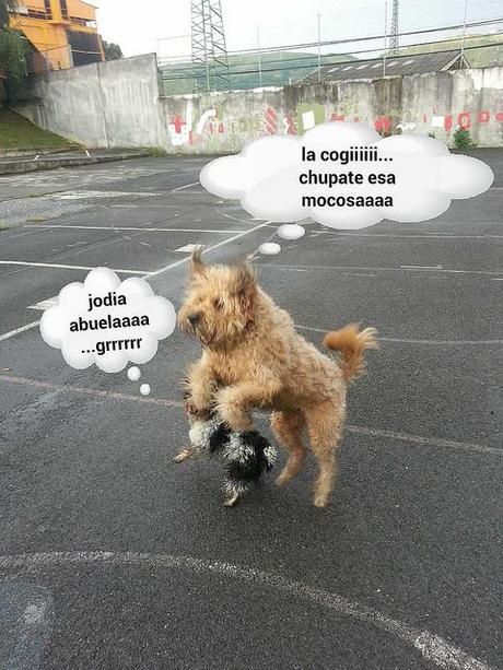 estamos tan agustito