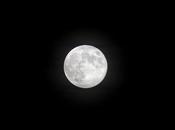 Luna cosecha 2013: ¿has visto enorme luna llena septiembre? (FOTO)