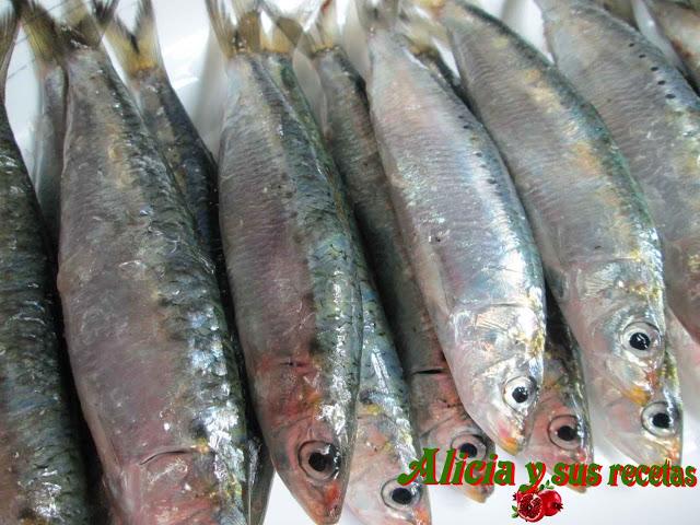 MORAGA DE SARDINAS CON ALMEJAS